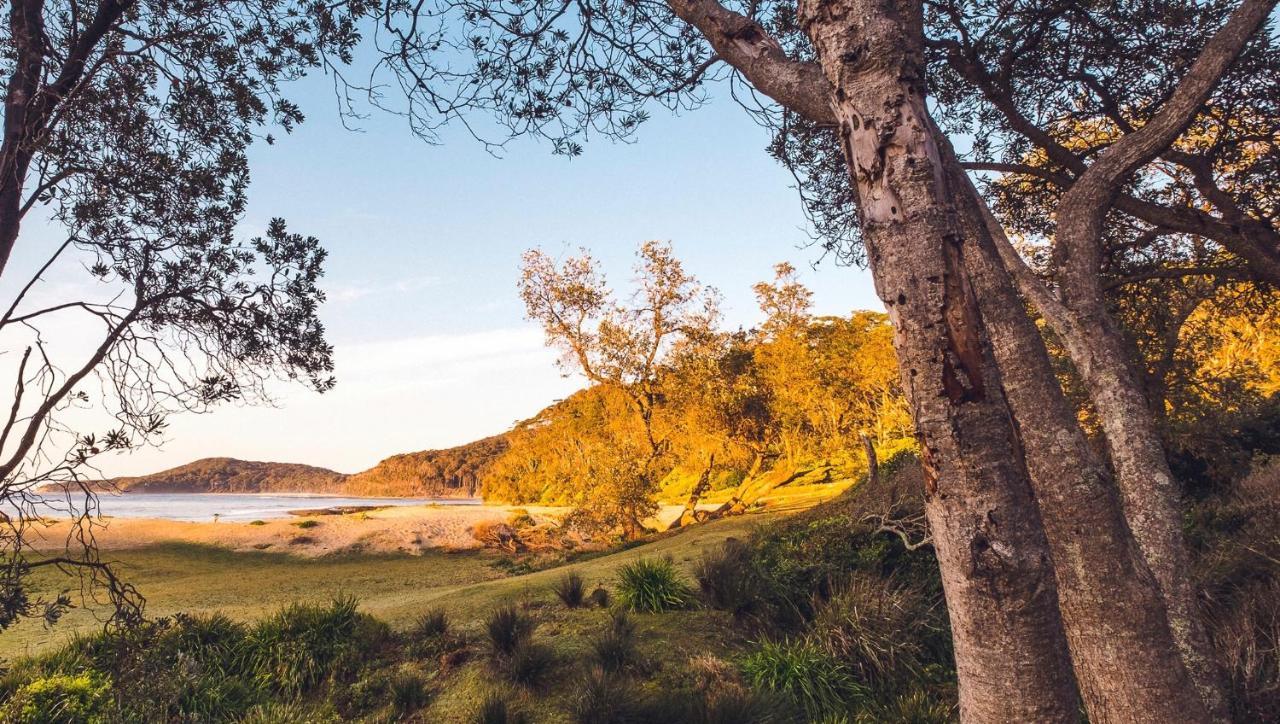 Pebbly Beach Escape East Lynne Екстер'єр фото